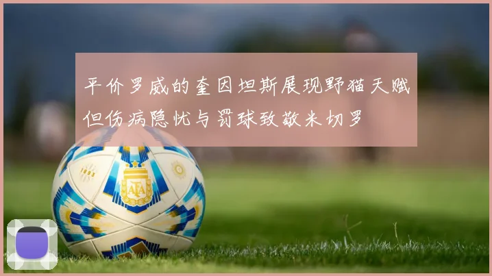平价罗威的奎因坦斯展现野猫天赋但伤病隐忧与罚球致敬米切罗